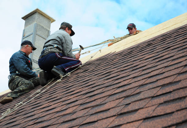 Best Roof Gutter Cleaning  in Delhi, LA